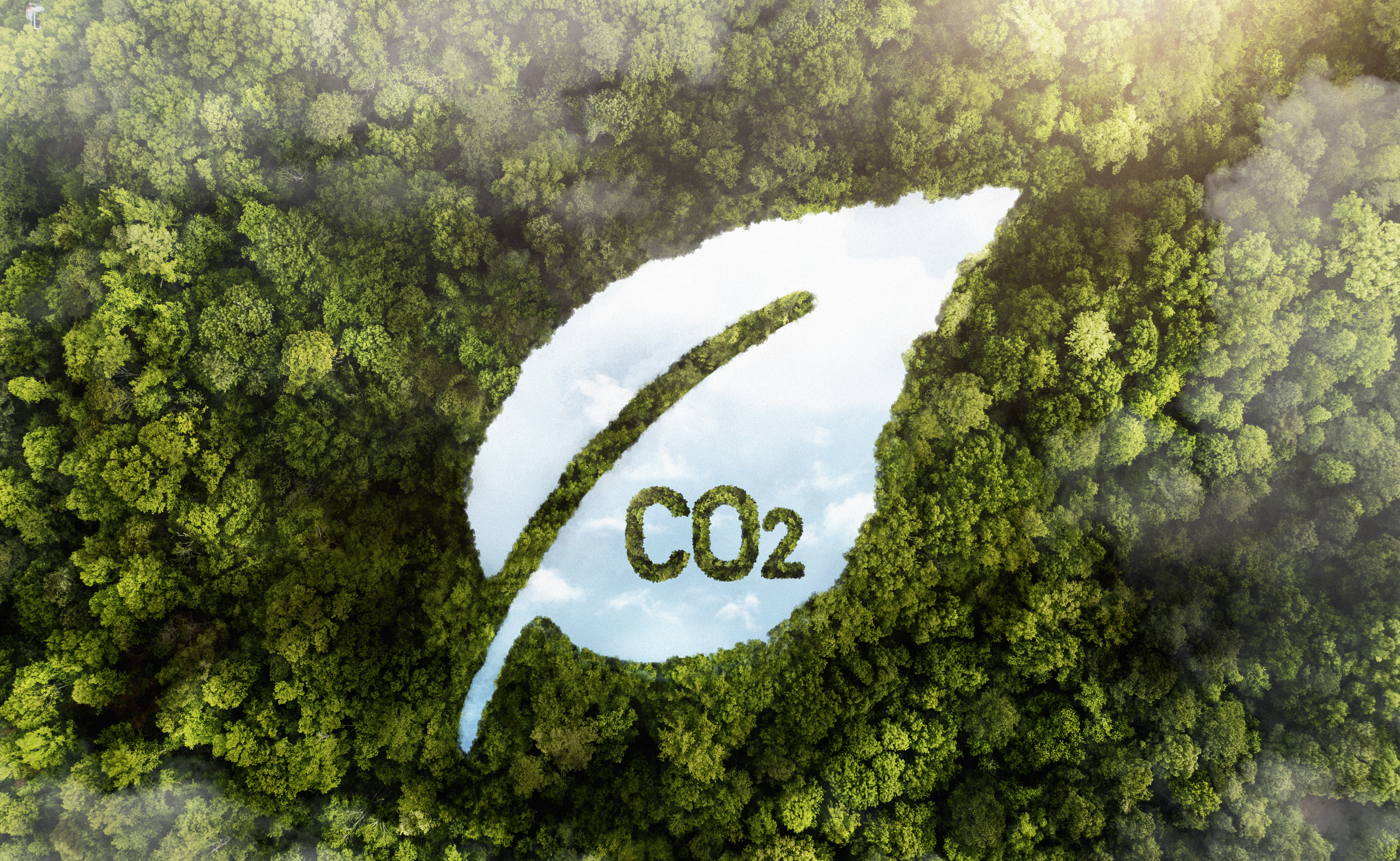 Carbon Footprint Project